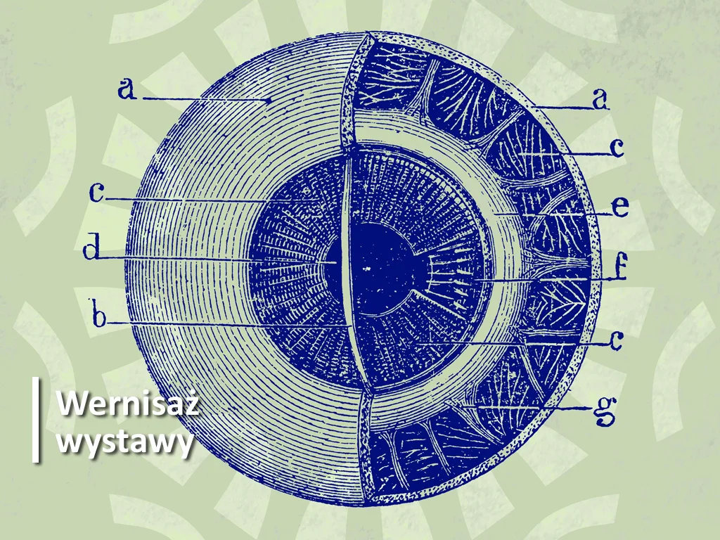 Tajemnice Wzroku -- wystawa w Aptece pod Łabędziem (grafika nadesłana)